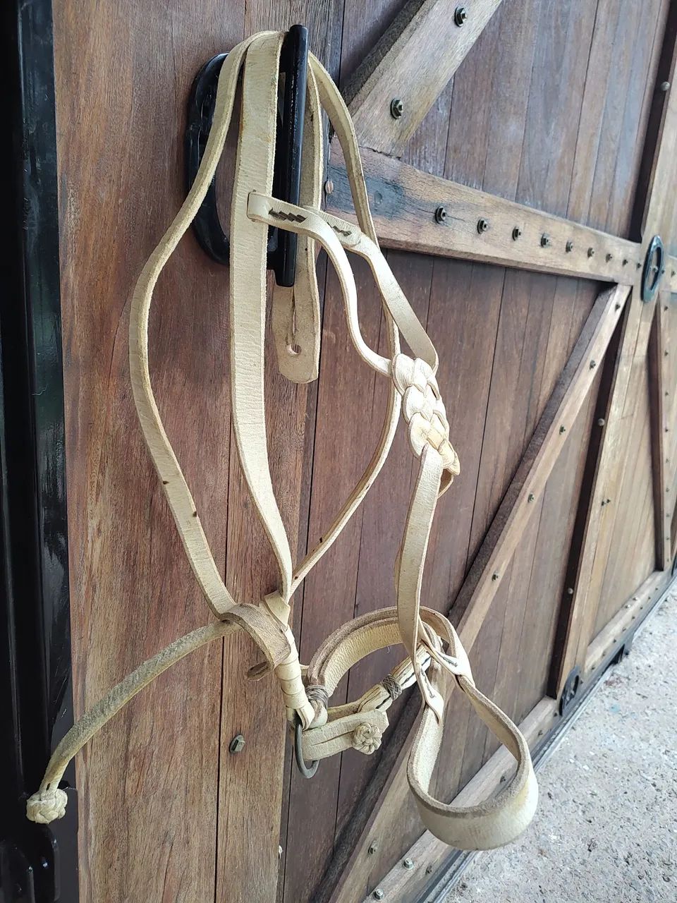 Cabresto buçal modelo sapo em couro  - Foto 4