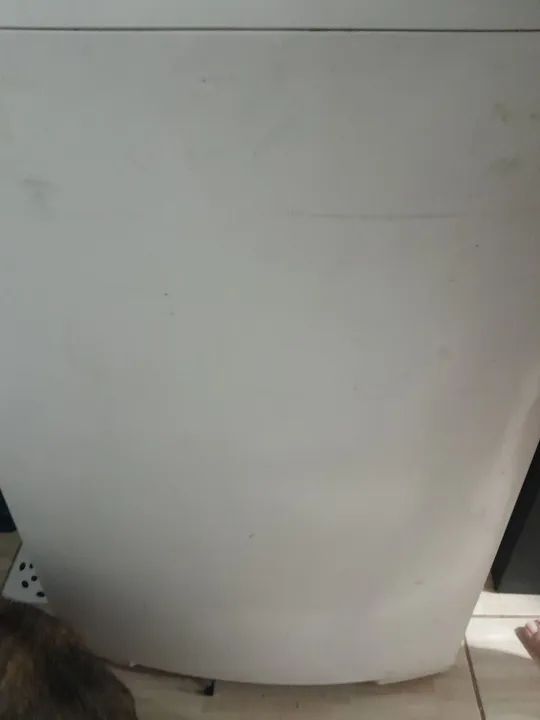 Máquina Electrolux 10 kg - Foto 2