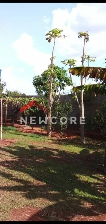 Chácara em Área Rural - Área Rural de Uberlândia - Uberlândia/MG - Foto 7