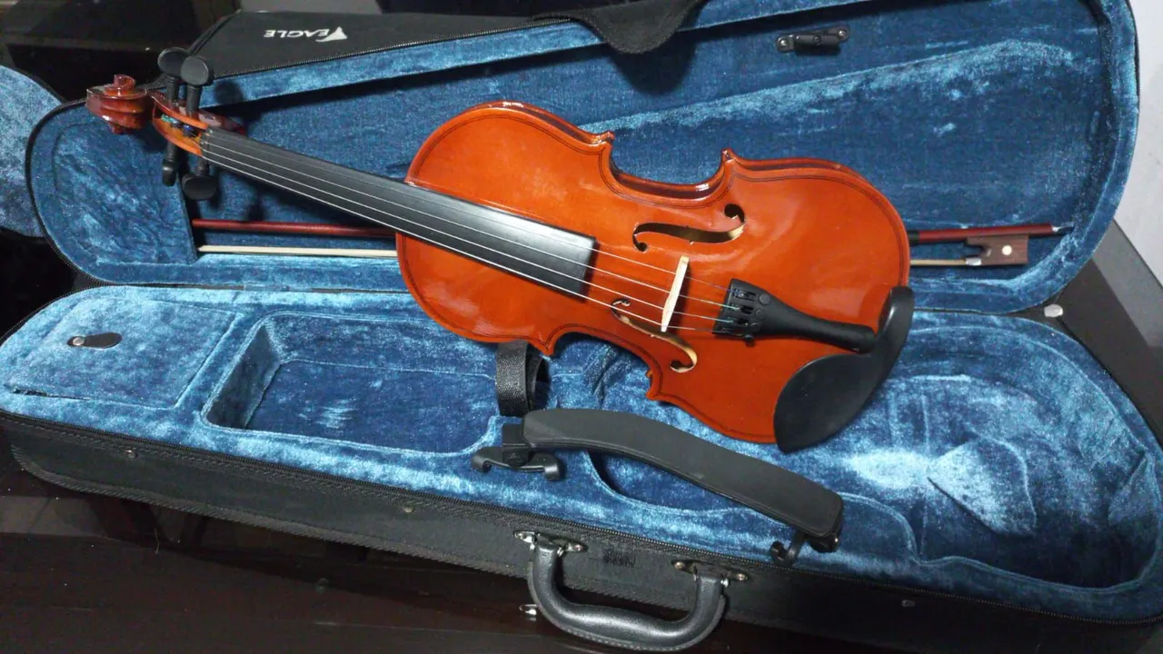 Violino com estojo e espaleira