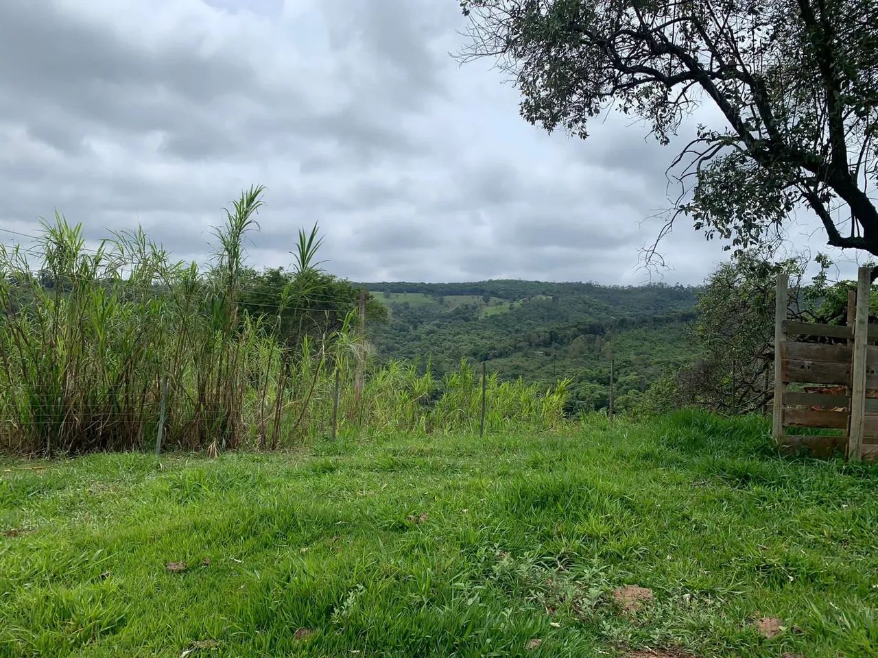 Fazenda 19 hectares a 48 km de BH. - Foto 3