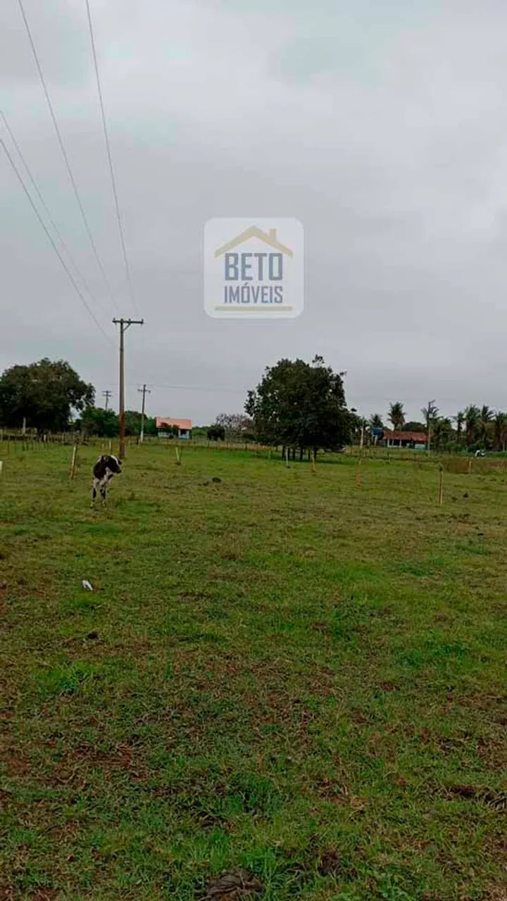 Sítio/Chácara para venda possui 7 alqueires em Centro - Quissamã - RJ - Foto 4