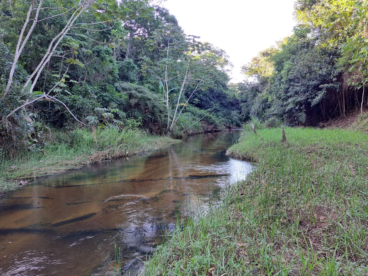 Vendo sitio terra área em Serra Grande
