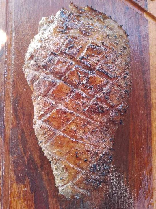 CHURRASQUEIRO PROFISSIONAL EM SJC 