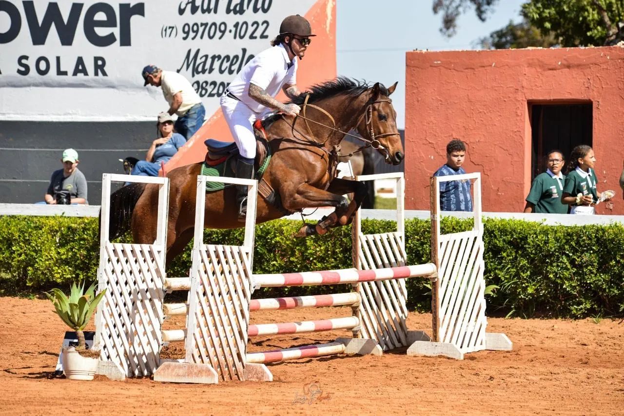 Égua (cavalo PSI de hipismo) - Foto 2