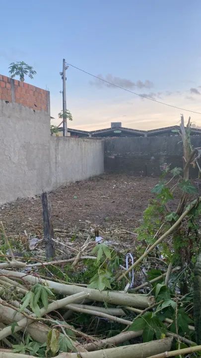 + Lote no Bairro Industrial - Foto 6