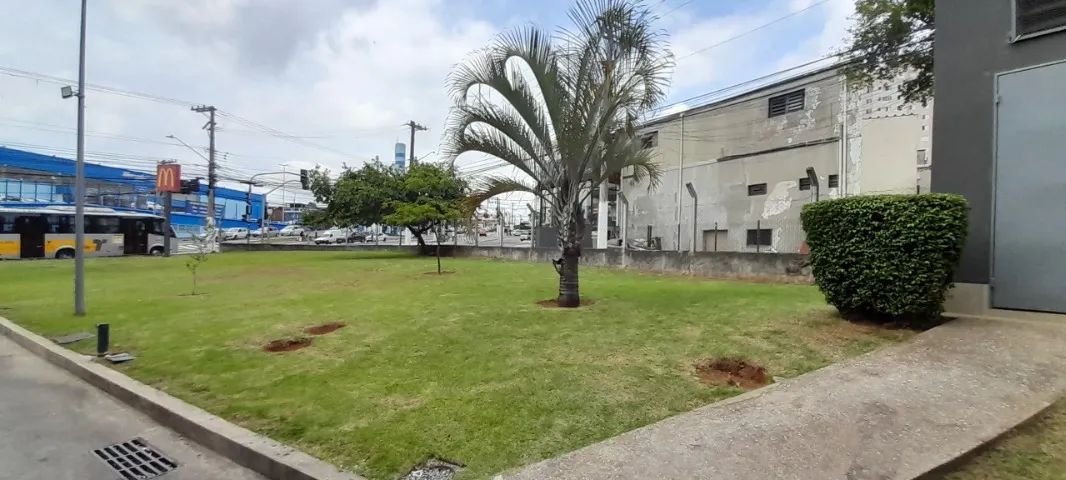 Jardinagem/jardineiro em geral - Foto 2