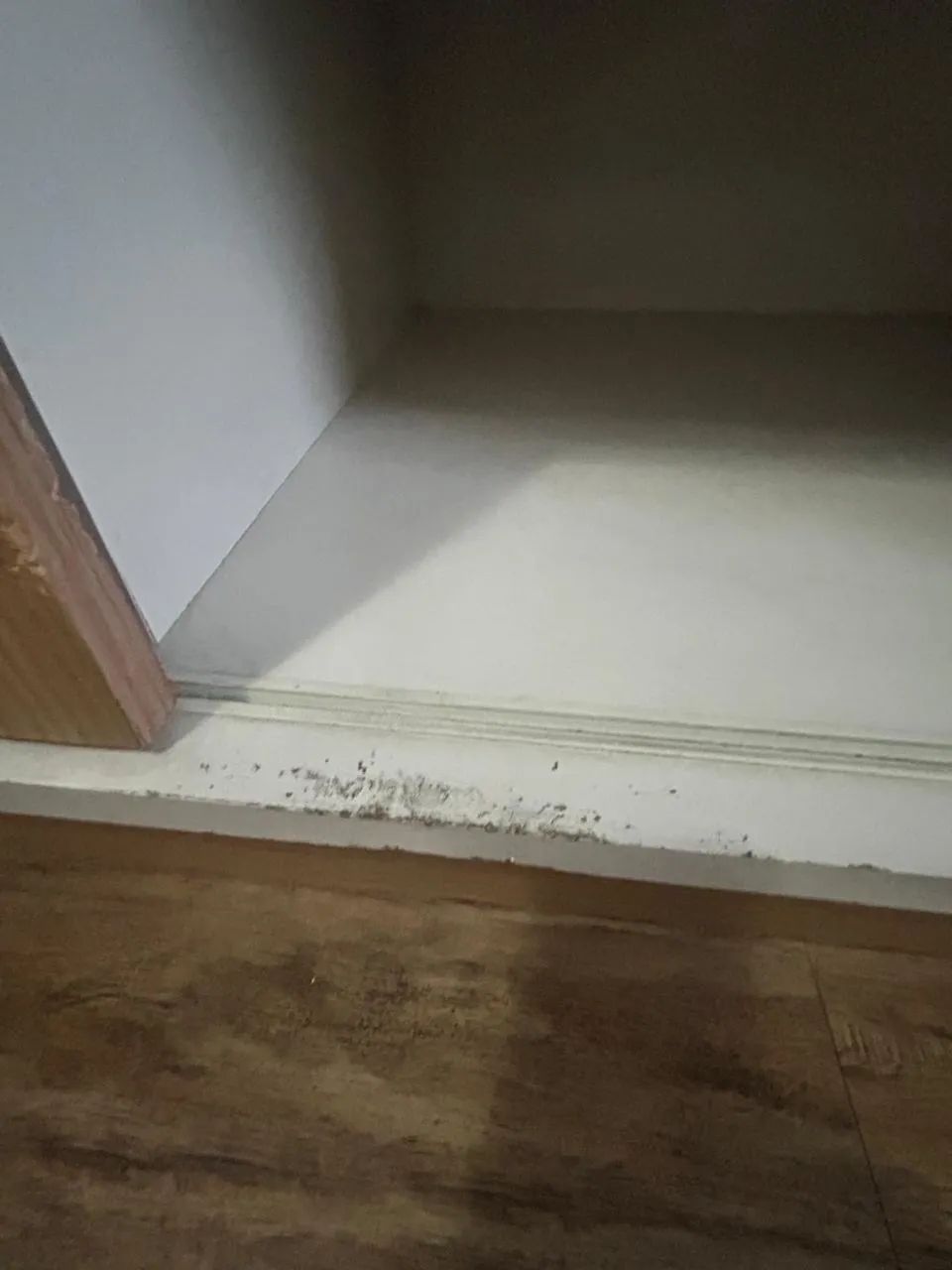 Estante para sala  - Foto 2