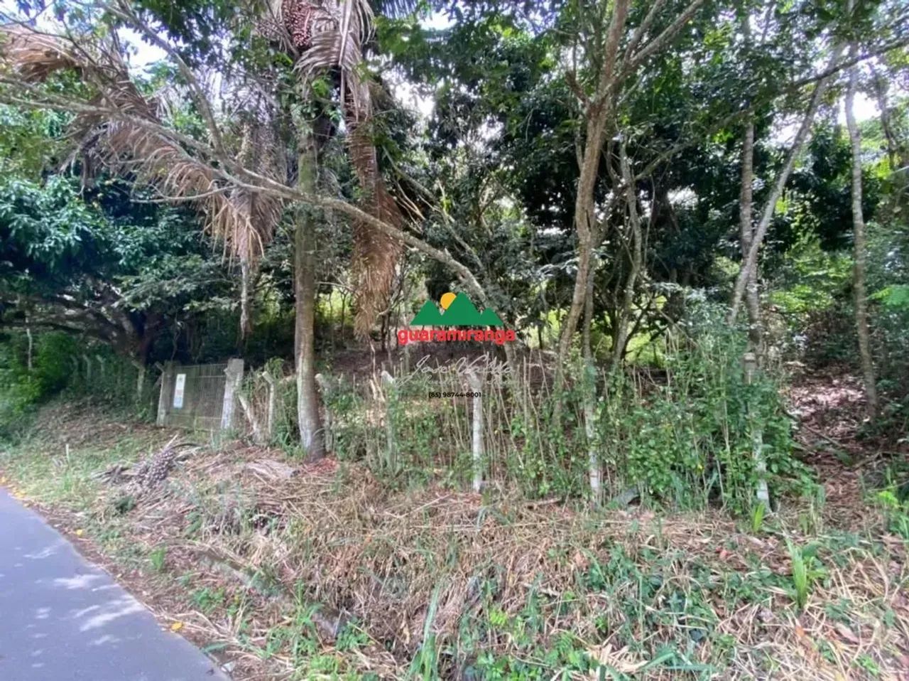 Sítio com 04 hectares, todo cercado, com energia e casa para reforma. - Foto 4