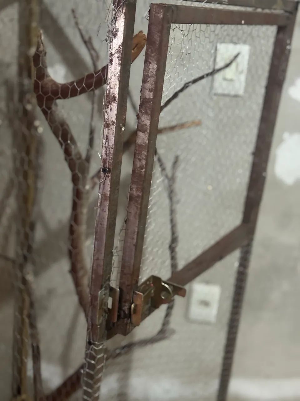 Gaiola  calopsita  - Foto 2