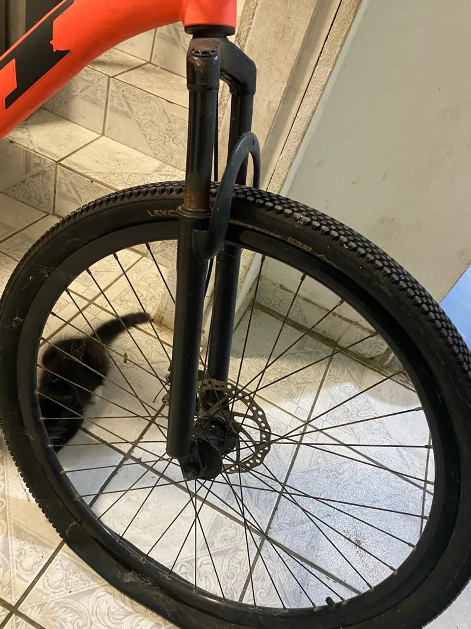 Bicicleta  - Foto 5