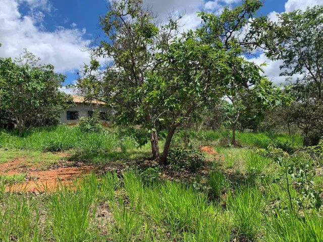 Chácara 1.000m², casa simples, com agua e luz, Jaboticatubas. - Foto 4