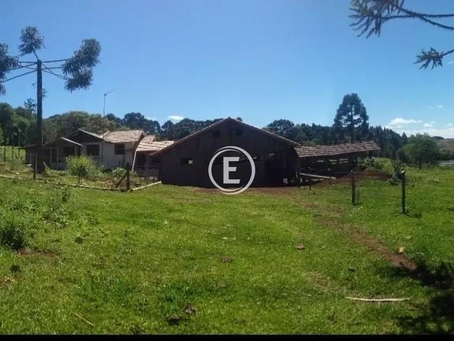 Sitio - Campo Belo do Sul - Foto 5