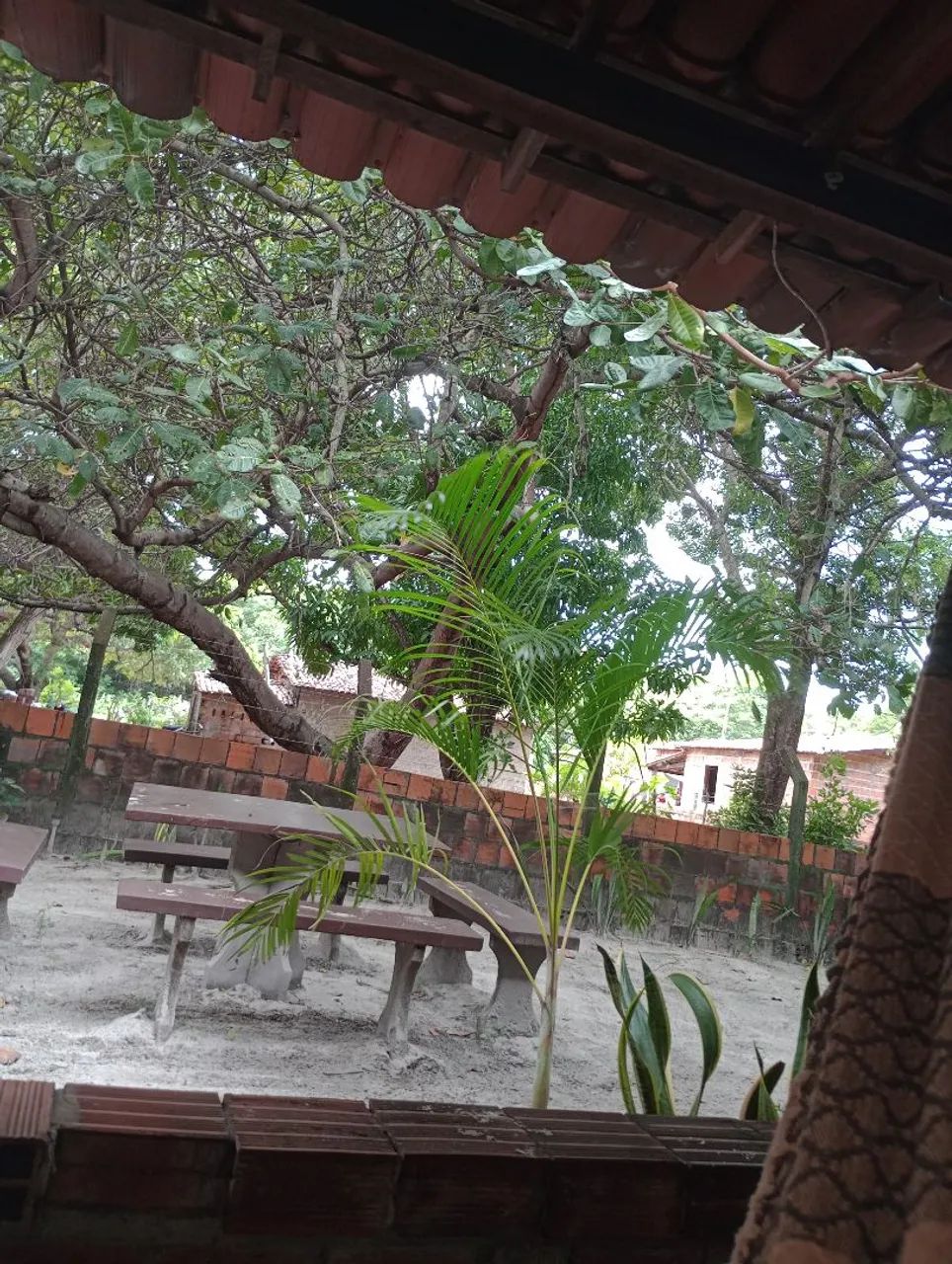 Vendo sitio no siup?, 18x50