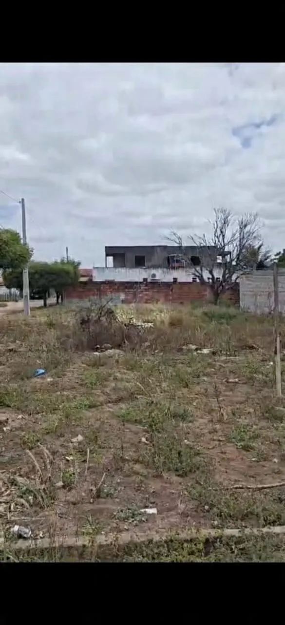 Terreno com cara de Sitio!!! - Foto 5