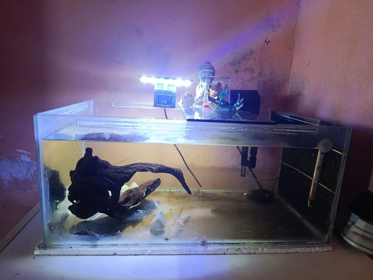 Aquário em bom estado, ideal para peixes ornamentais, bettas ou montagem de nano aquário - Foto 2