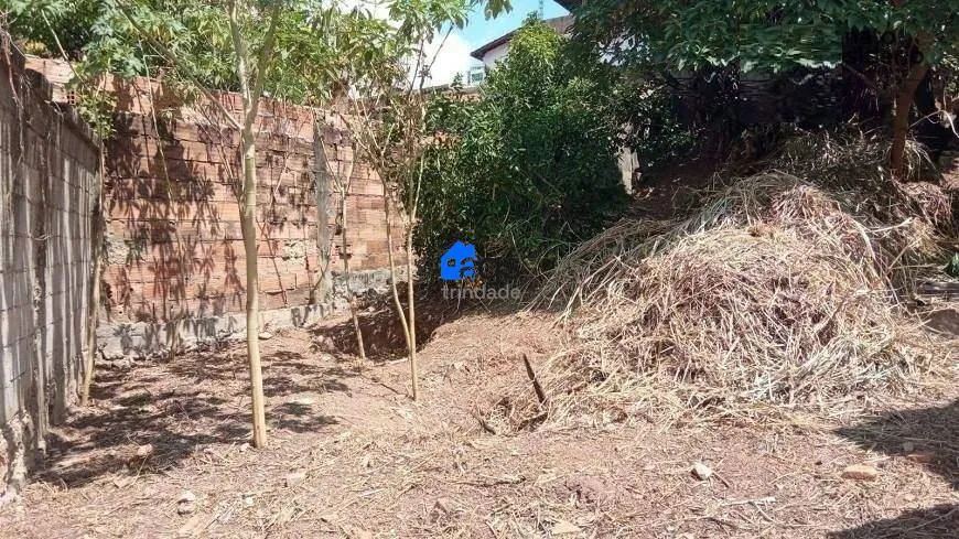 Terreno em Sagrada Família com 420 m² . - Foto 4
