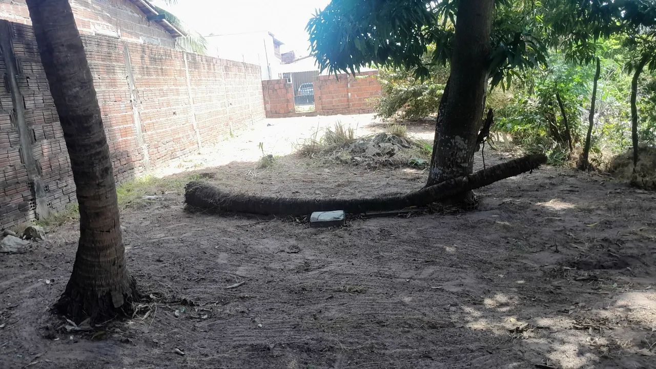 Terreno 8x23 - Foto 3