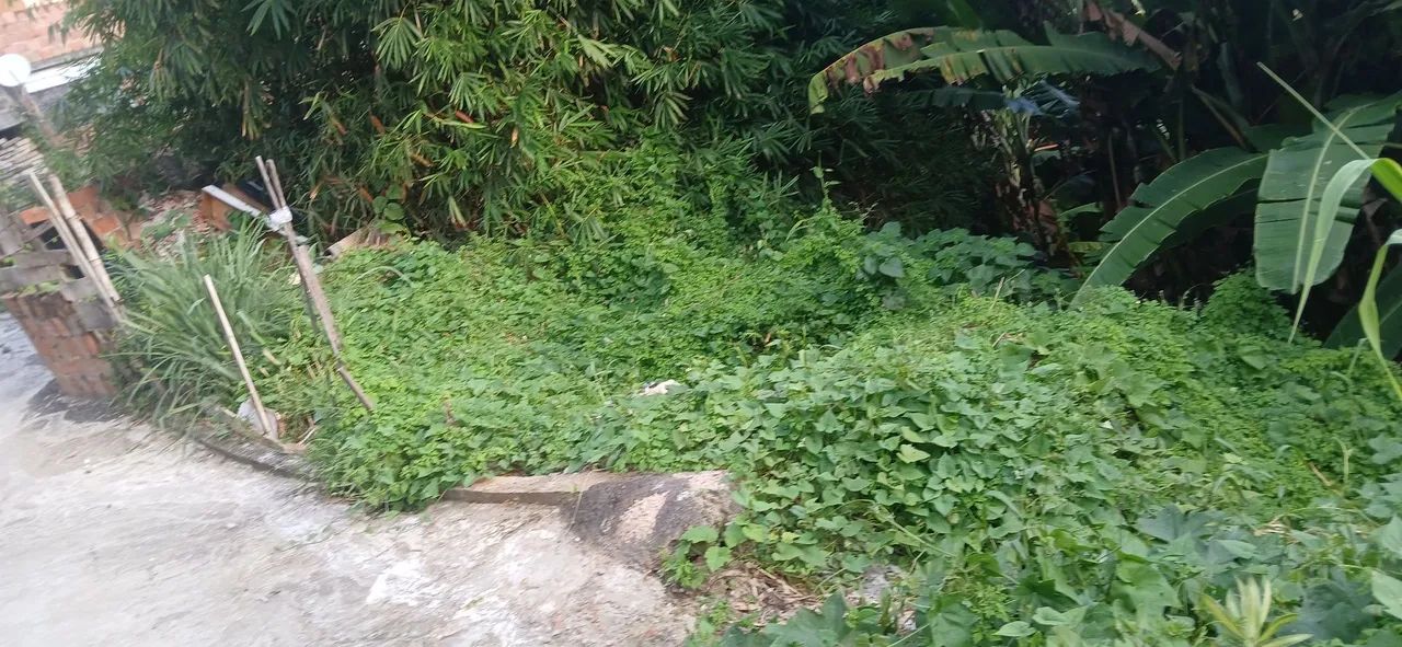 Terreno em Vila mar 