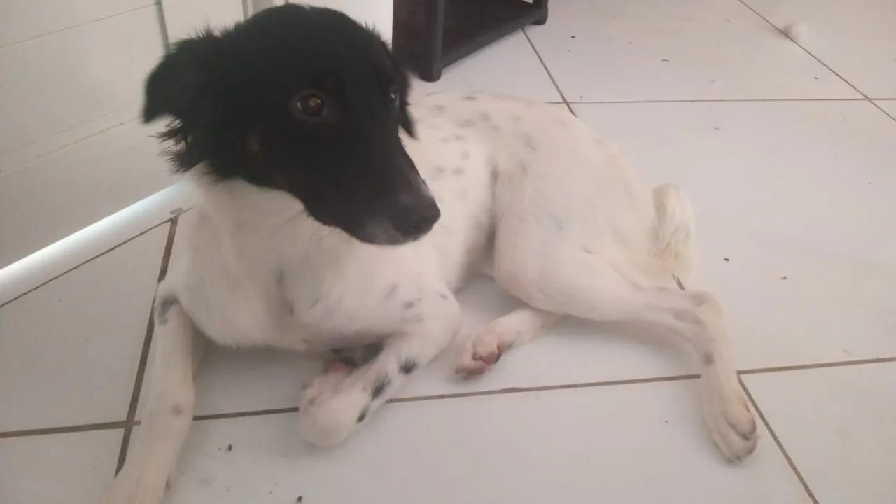 Doação responsável.