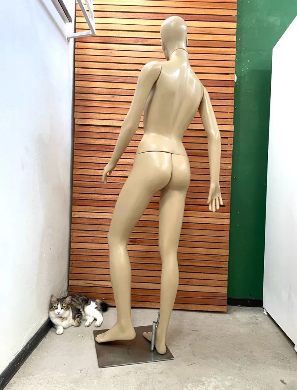 Manequim Feminino - Foto 4