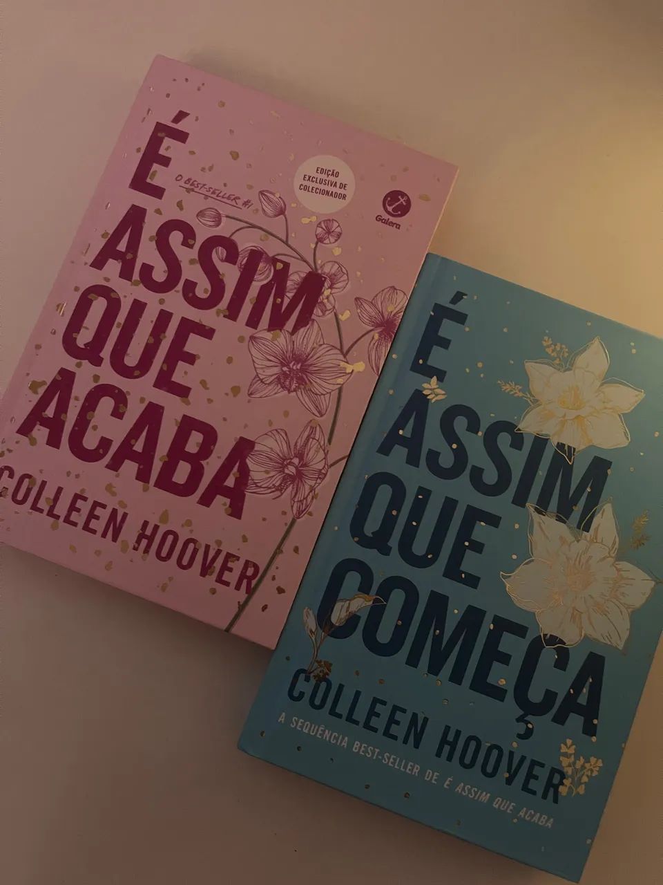 Livro É assim que acaba e É assim que começa