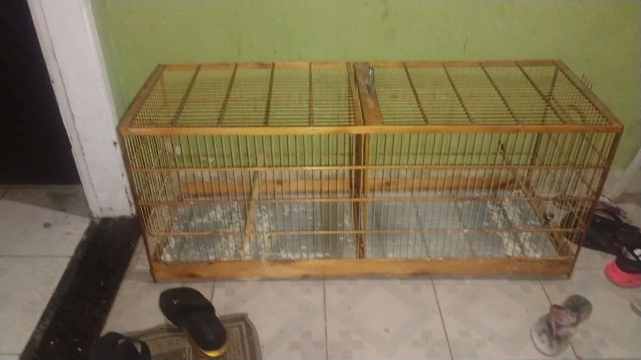 Gaiola - Foto 2