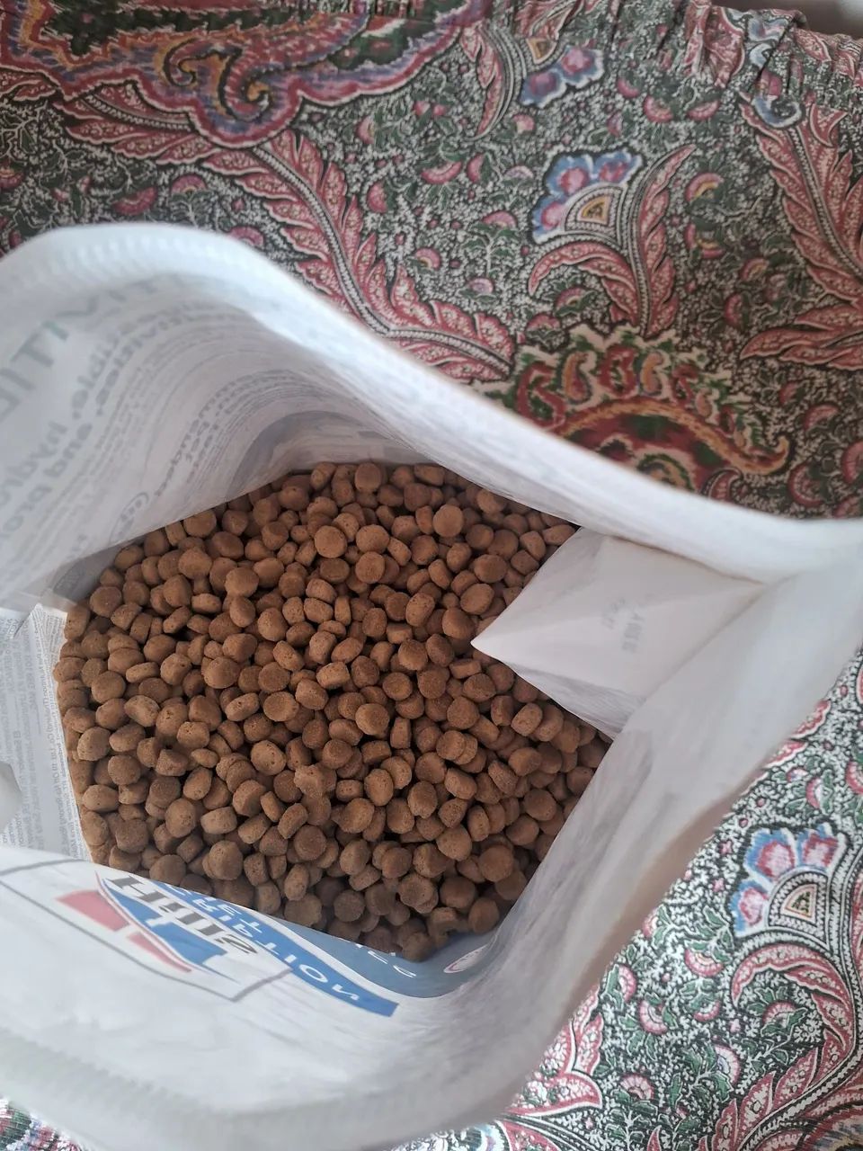 Ração para cães com sensibilidade - Foto 4