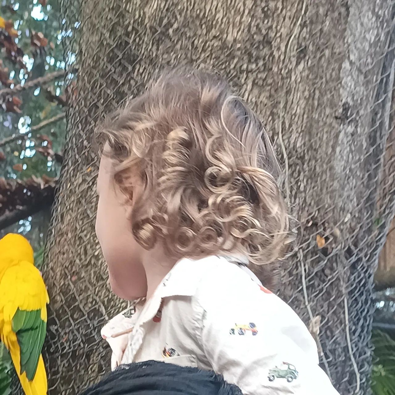Cachinhos de Anjo - Unidade. - Foto 2