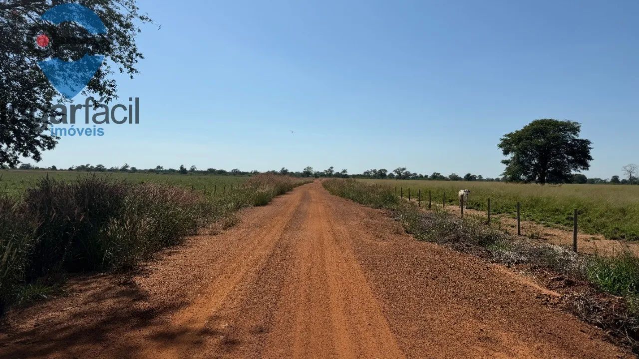 FAZENDA MUNICIPIO JUSSARA - Foto 3