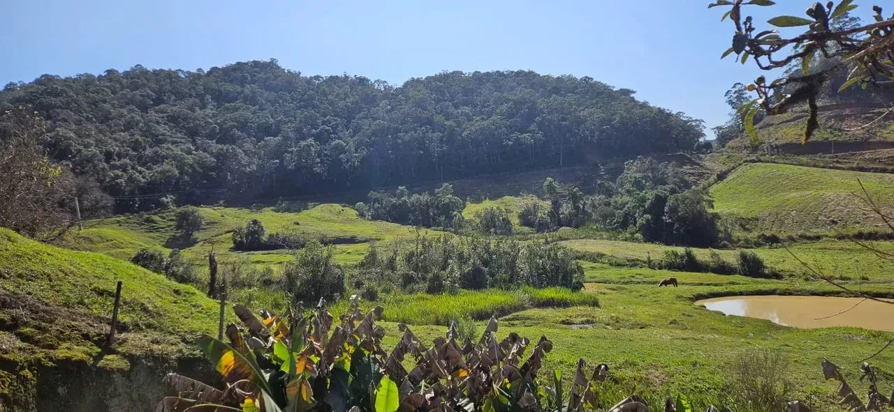 Lindo Sitio com escritura, riacho e proximo de Rancho Queimado! - Foto 3