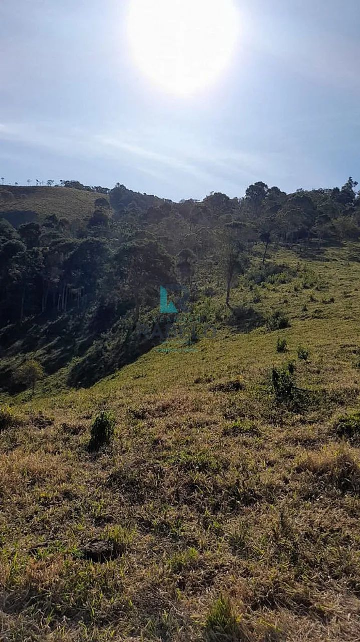 SÍTIO FORMADO EM DELFIM MOREIRA-MG - Foto 3