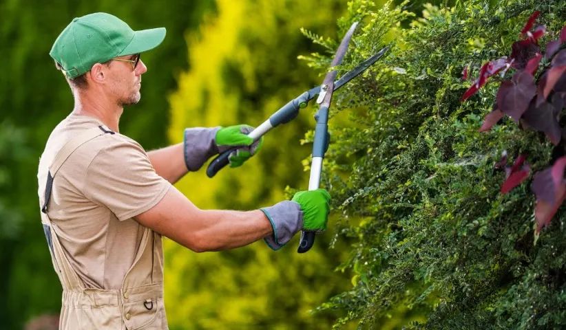Jardinagem e podas