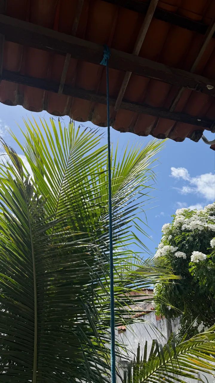 Balanço infantil  - Foto 4