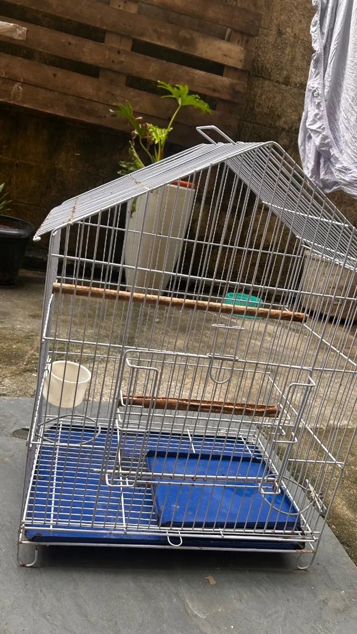 Gaiola para passarinho 437443806239150081