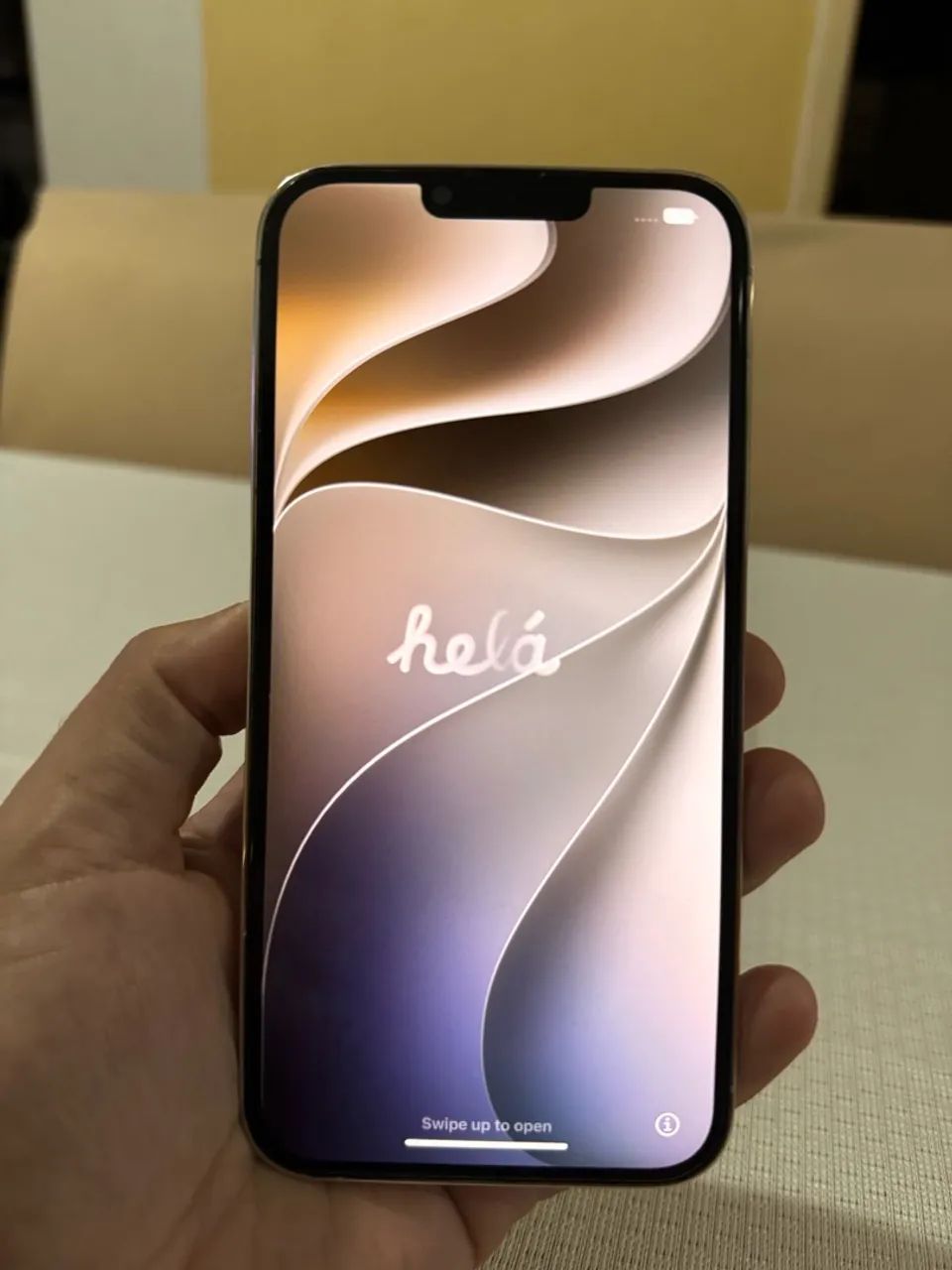 IPhone 13 Pro Max 256