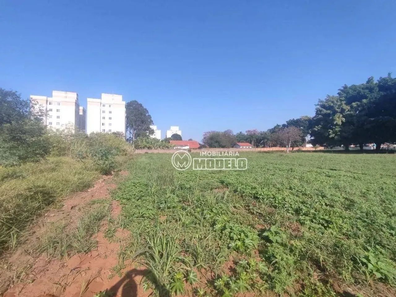 Terreno à venda, 3870 m² por R$ 1.550.000 - Dois Córregos - Piracicaba/SP - Foto 5