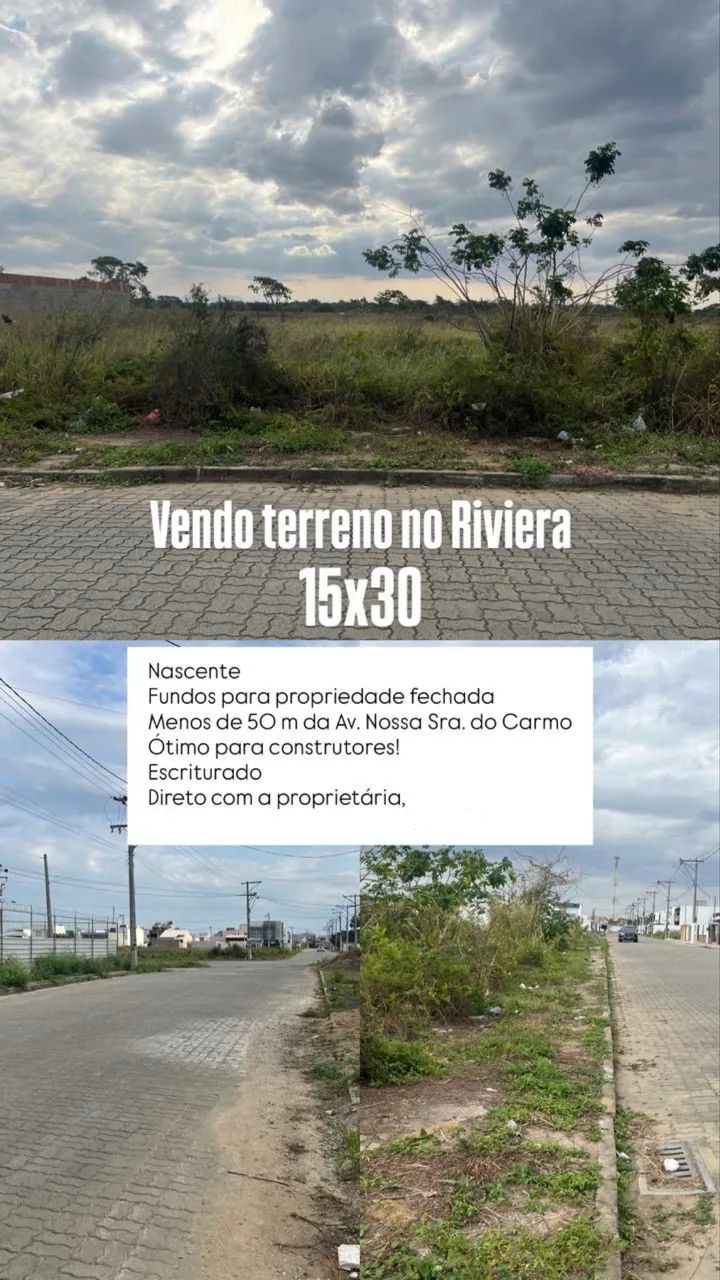 Foto - Campos dos Goytacazes - Parque Tarcisio Miranda