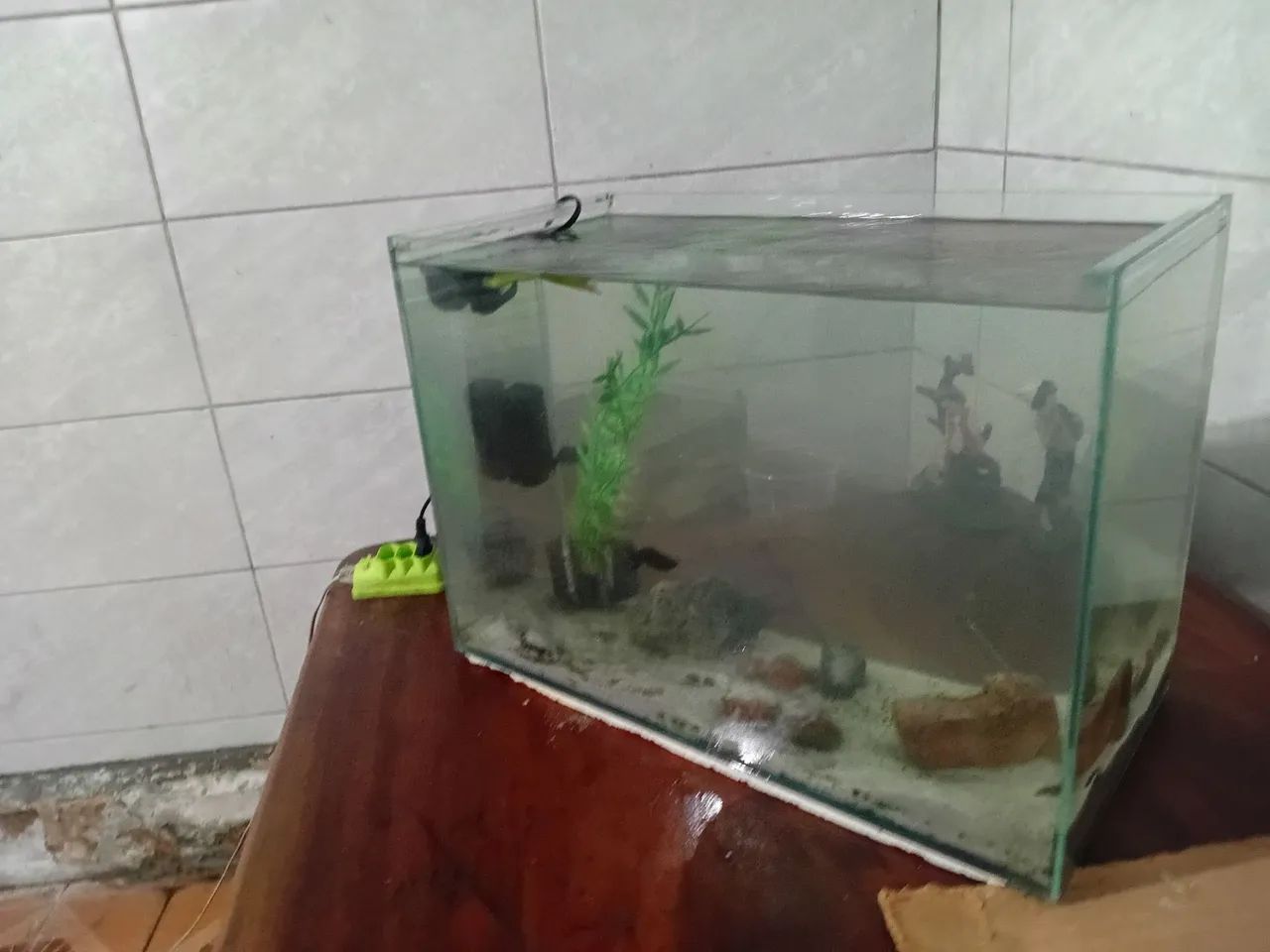Aquário  - Foto 3