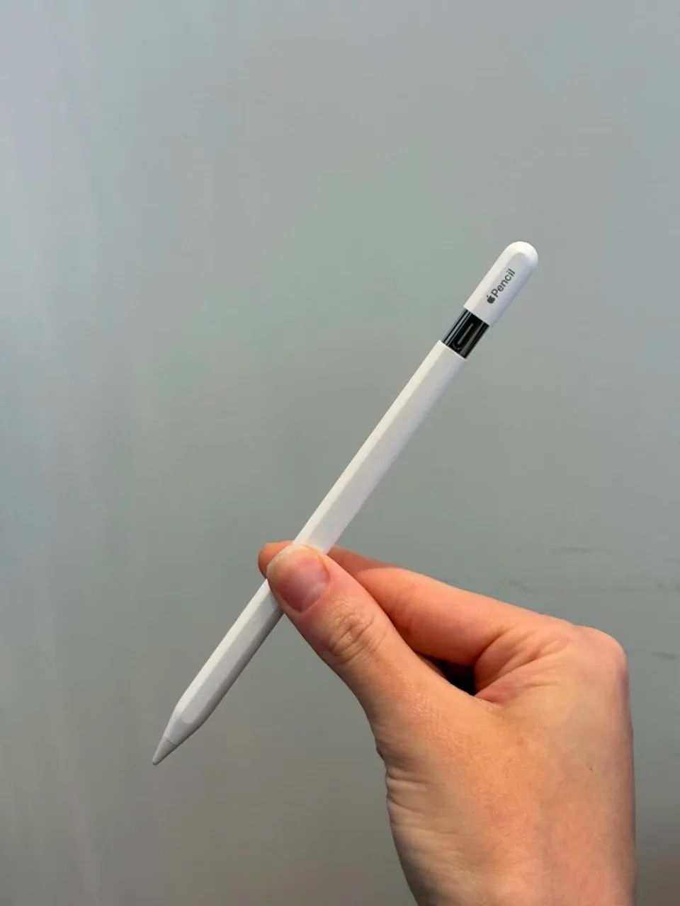 Apple Pencil USB-C - Acessórios de Celular - Setor de Habitações