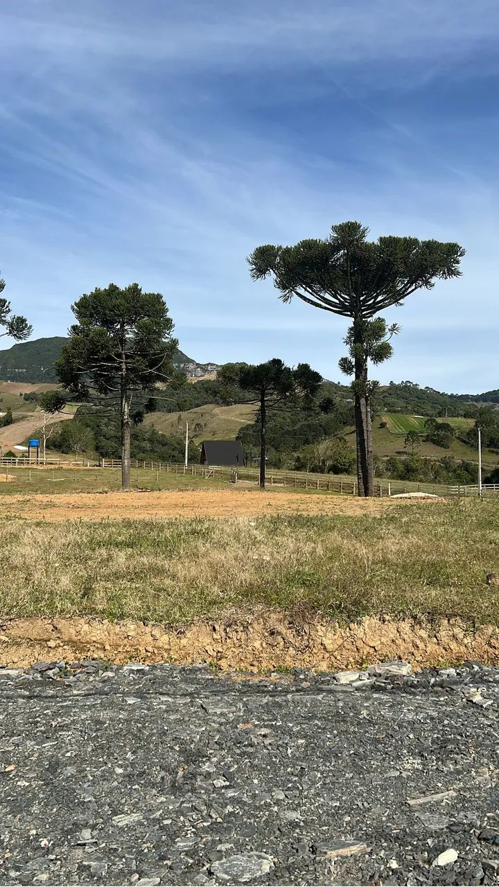 Terreno em alfredo Wagner com chale - Foto 4