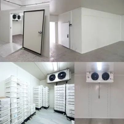 Câmara frigorífica para conservação de produtos congelados e resfriados. - Foto 6