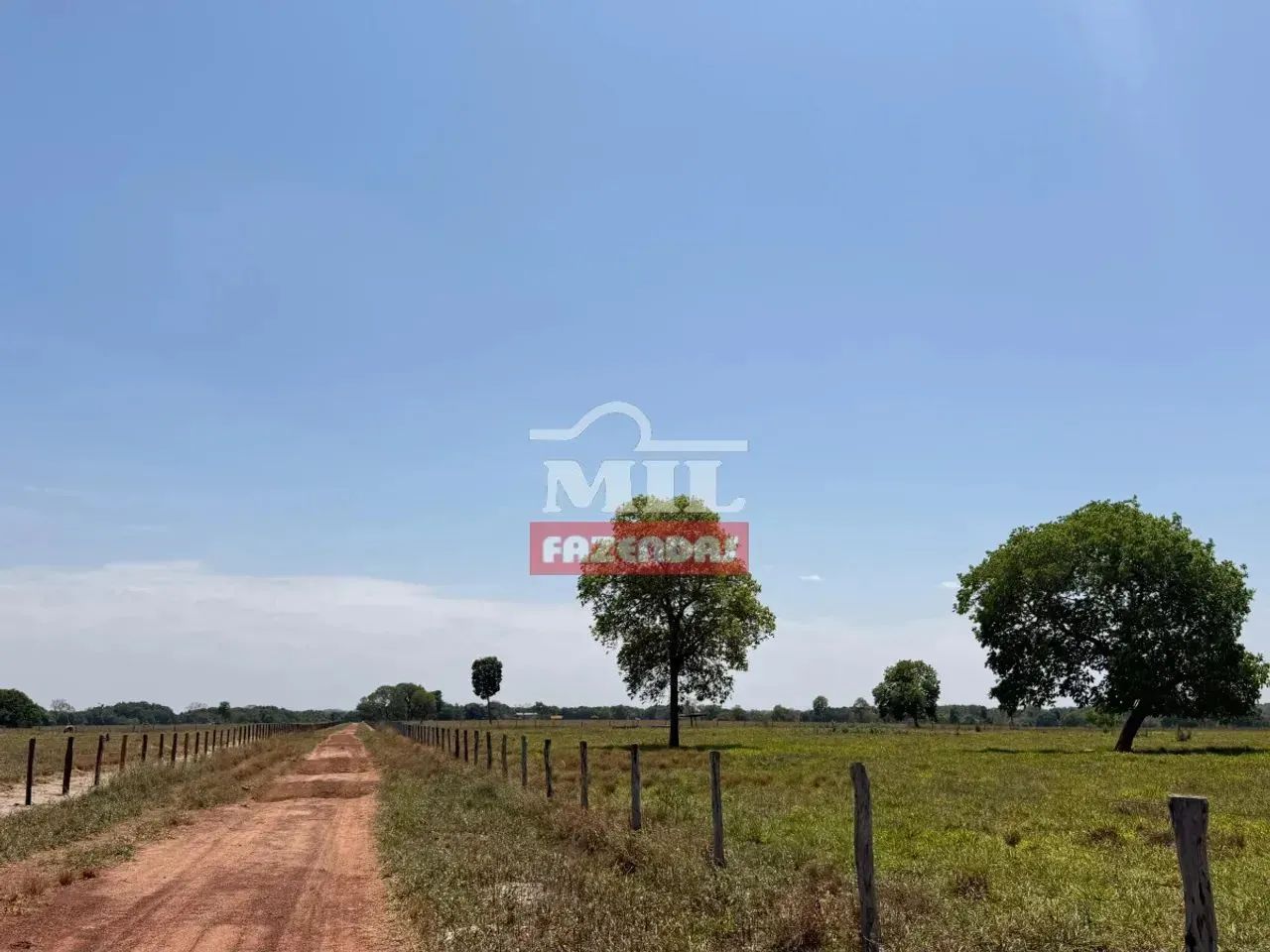 Fazenda 150 alqueires (726 hectares) Nova Crixas - Go - Foto 5