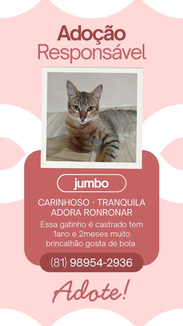 Adoção responsável 