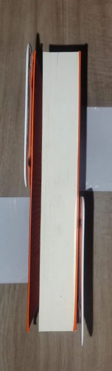 O Rei, o Pai e a Morte - Foto 3