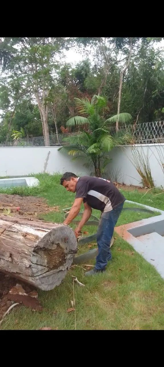Corte e poda entre outros serviços.  - Foto 2