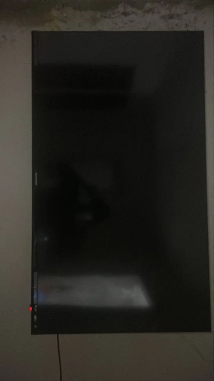 Televisão