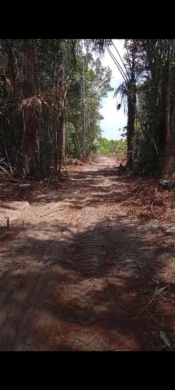 Vendas de Lotes com igarapé, para chácaras e sítio, Terreno na Av Princ em vila de Lindóia - Foto 2