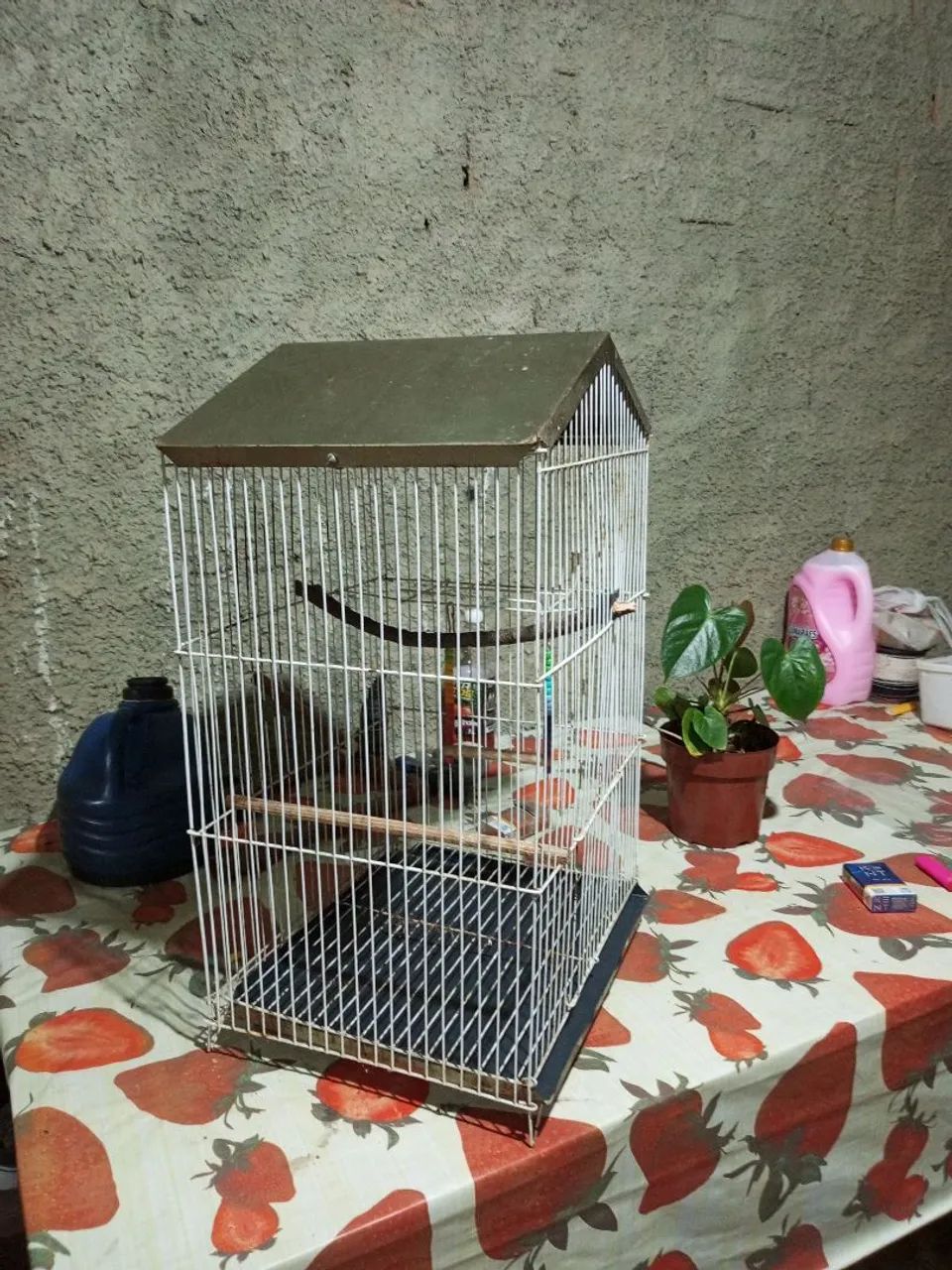 Gaiola  - Foto 3