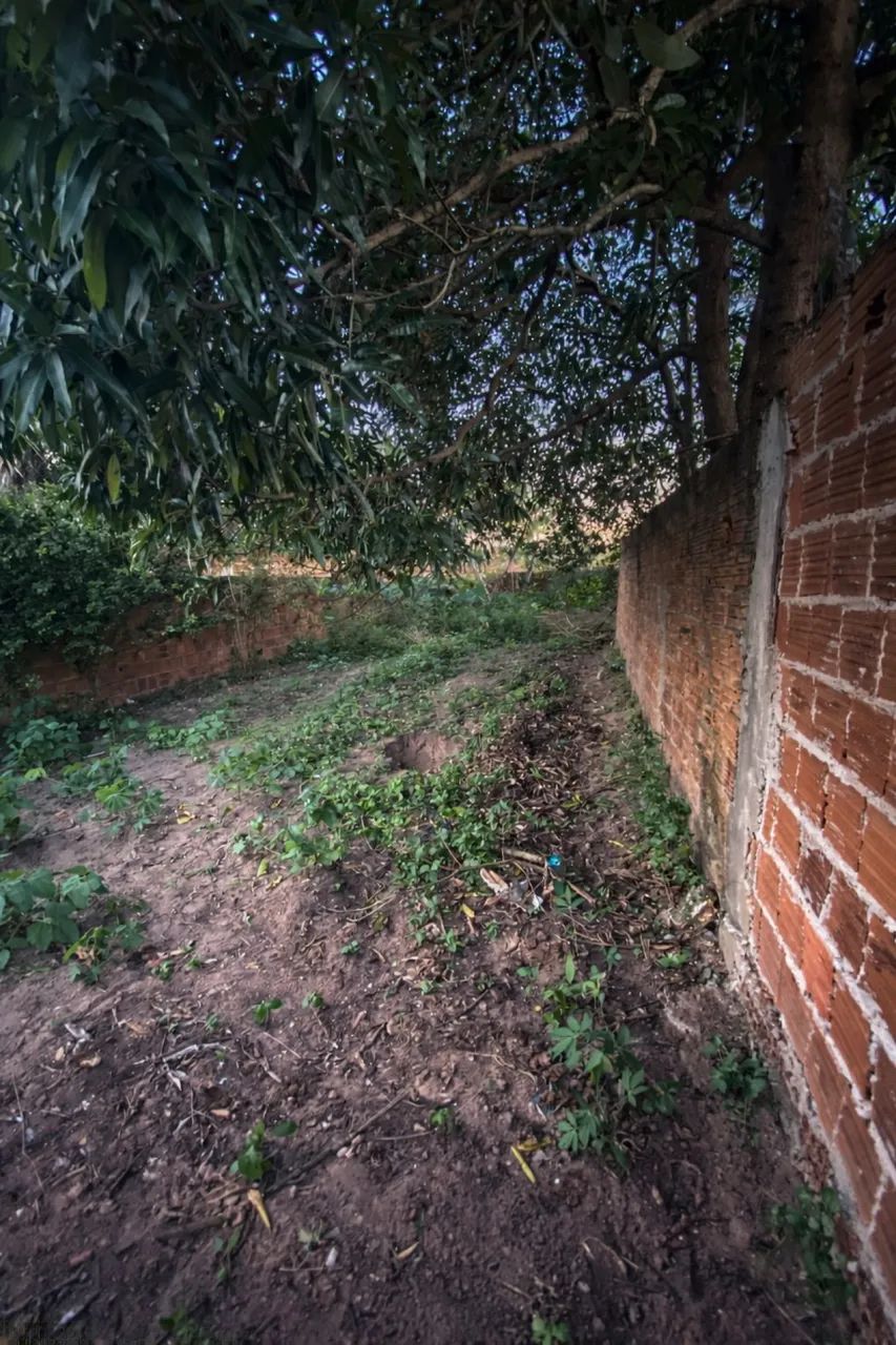 terreno em Macaíba - Foto 2